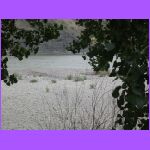 Yellow Stone River - My Backyard 2.jpg